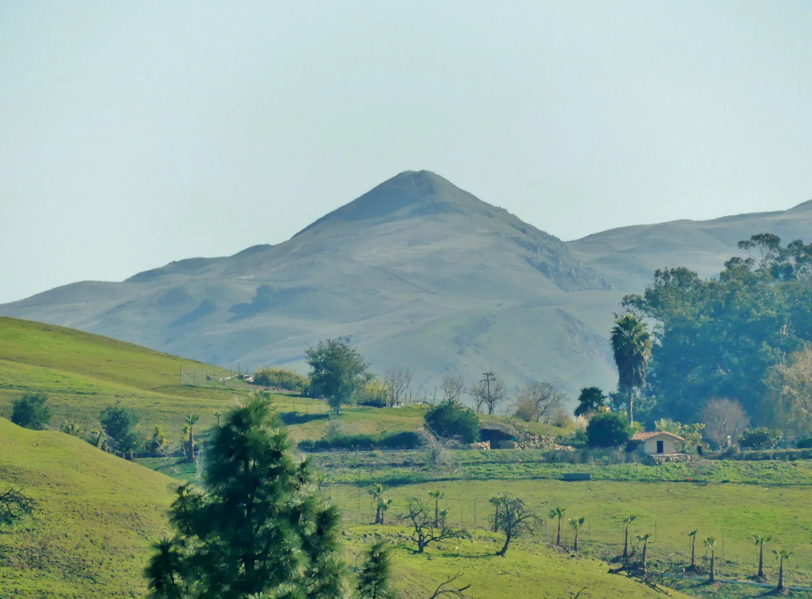 Homes in Fremont, California