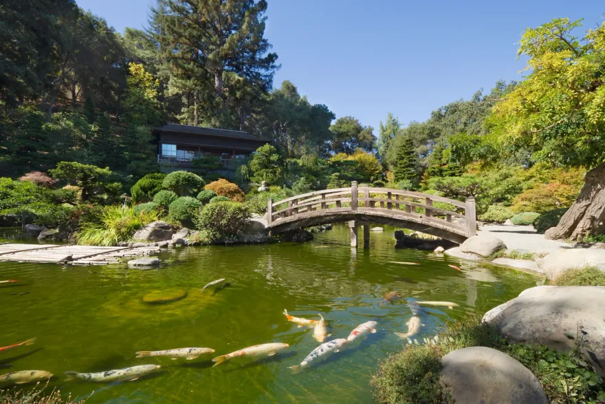 Homes in Saratoga, California